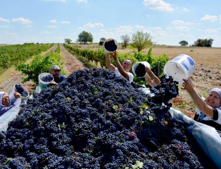 Yeniköy’de eski adet: PAPASKARASI
